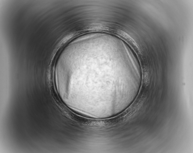 X0000093420882200710260956