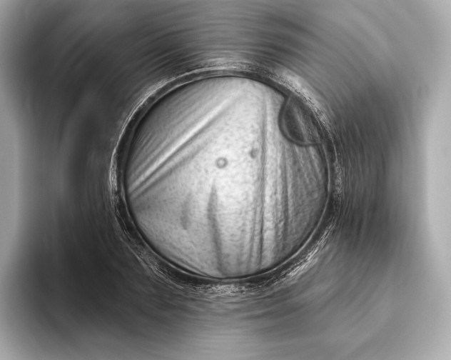 X0000093420883200710260956