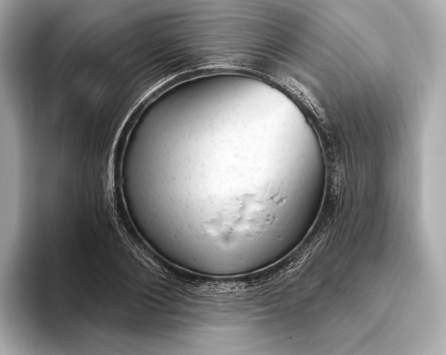 X0000093420884200710260956