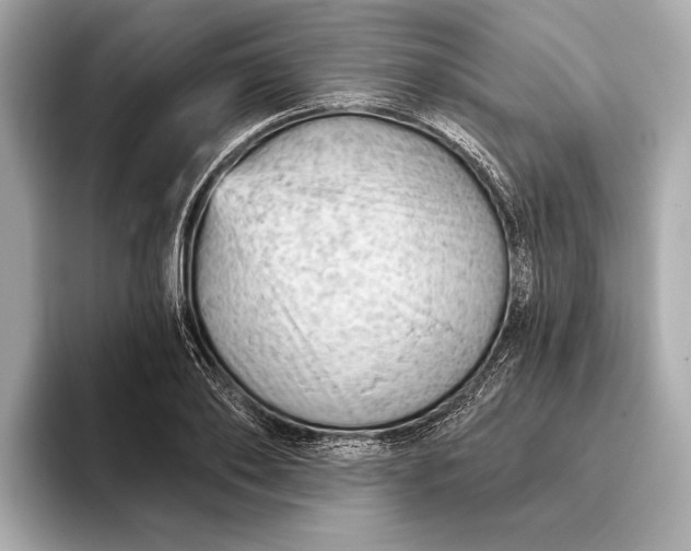 X0000093420886200710260956