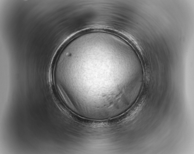 X0000093420887200710260956