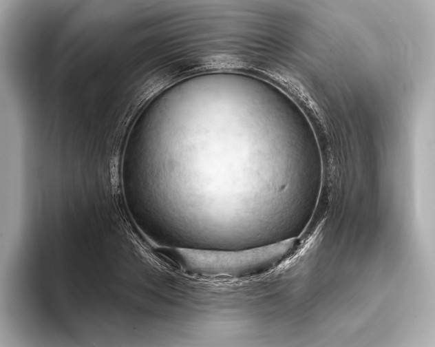 X0000093420889200710260956