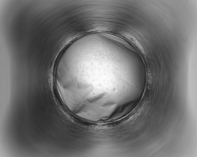 X0000093420890200710260956