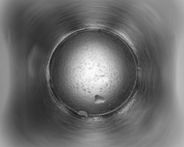 X0000093420891200710260956