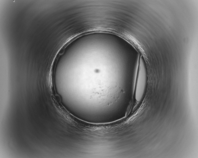 X0000093420892200710260956