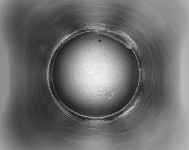 X0000093420893200710260956