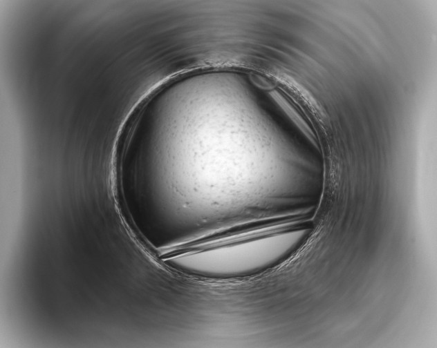 X0000093420894200710260956