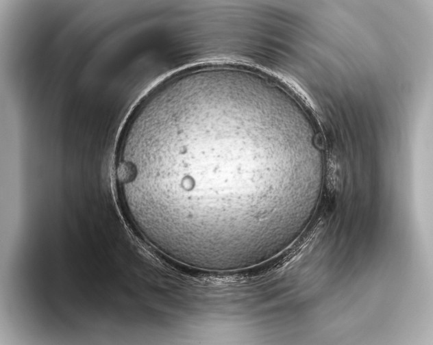 X0000093420895200710260956