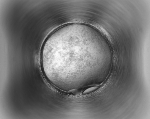 X0000093420896200710260956