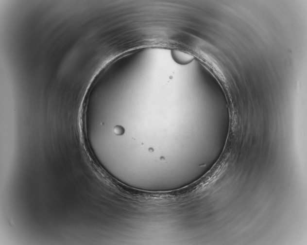 X0000093420899200710260956