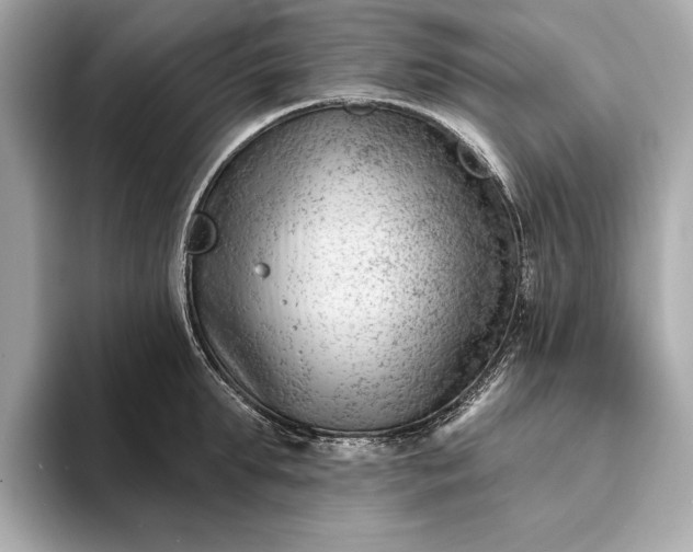 X0000093420903200710260956