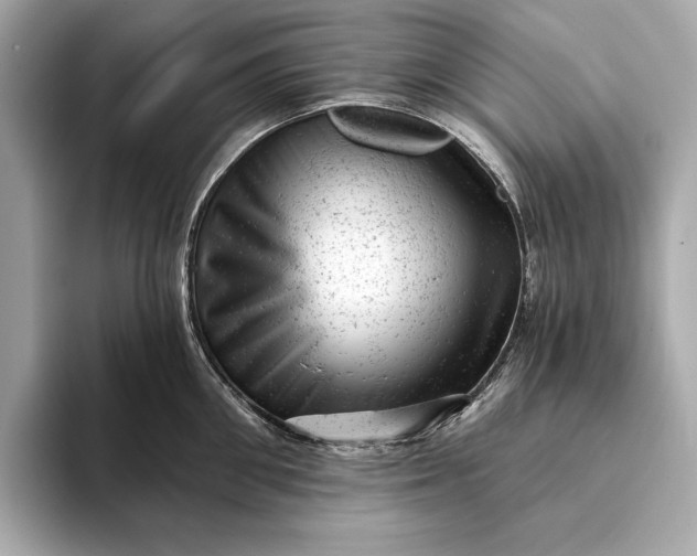 X0000093420906200710260956