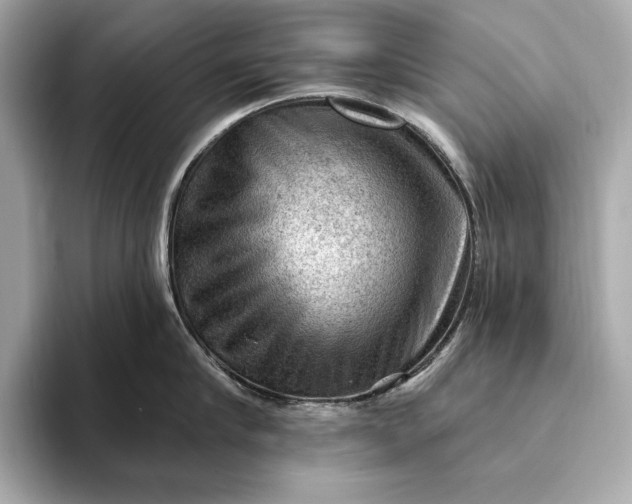 X0000093420910200710260956