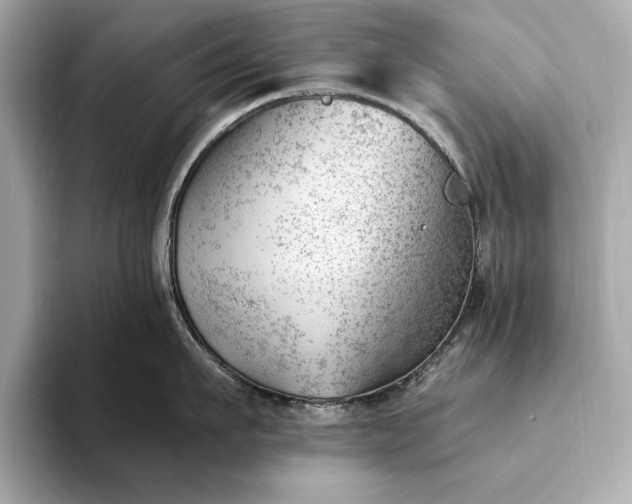 X0000093420911200710260956