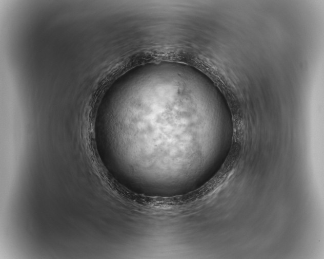 X0000093420913200710260955