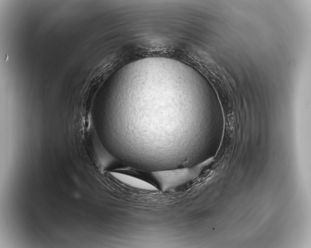 X0000093420916200710260955