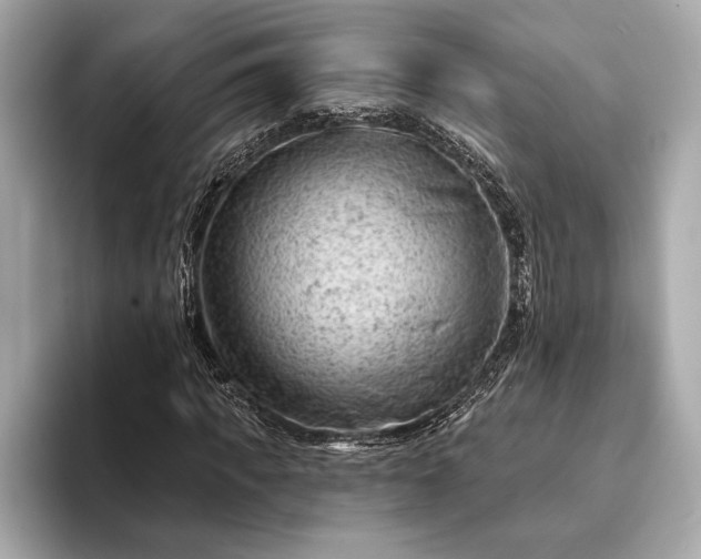 X0000093420917200710260955