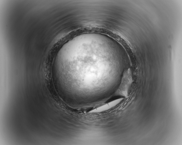 X0000093420919200710260955