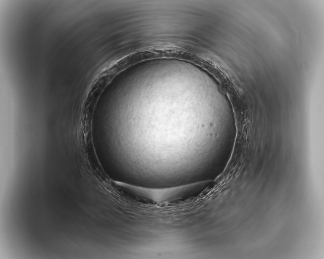 X0000093420920200710260955