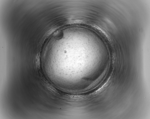 X0000093420921200710260955