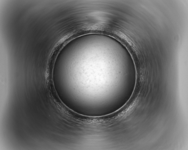 X0000093420922200710260955