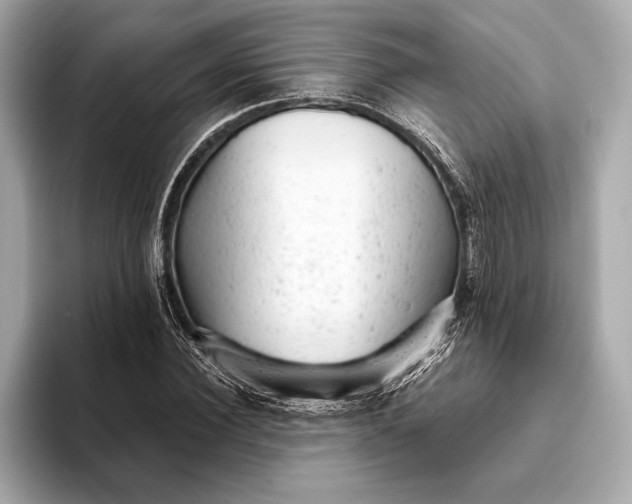 X0000093420924200710260955