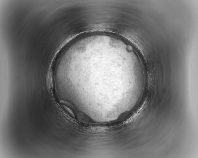 X0000093420925200710260955