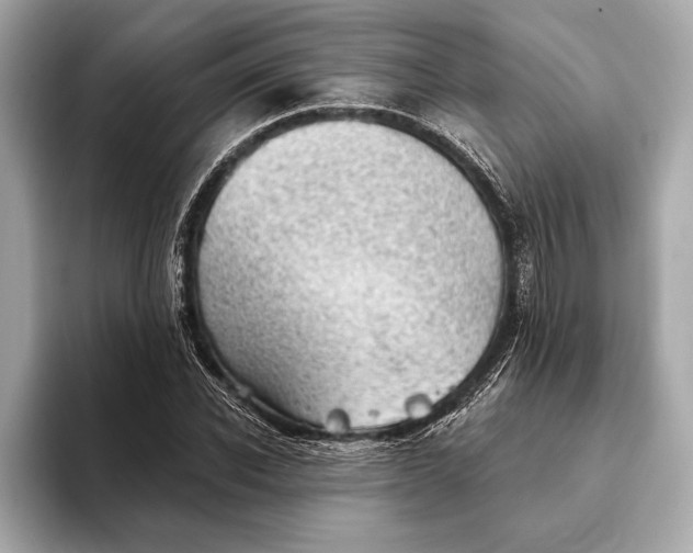 X0000093420926200710260955