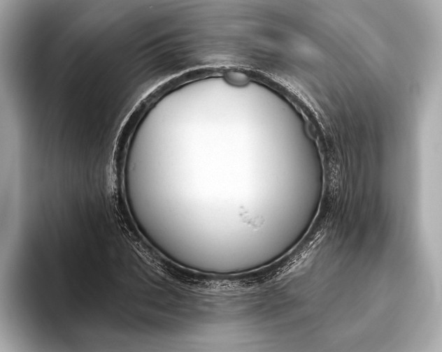 X0000093420927200710260955