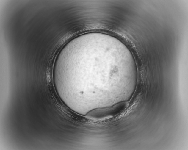 X0000093420929200710260955