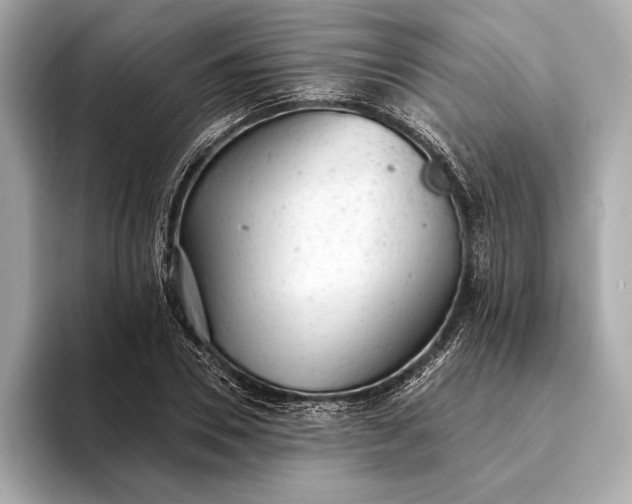 X0000093420930200710260955