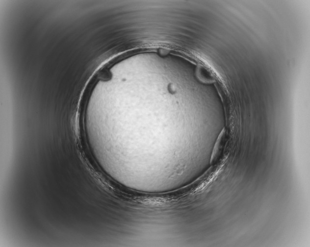 X0000093420932200710260955