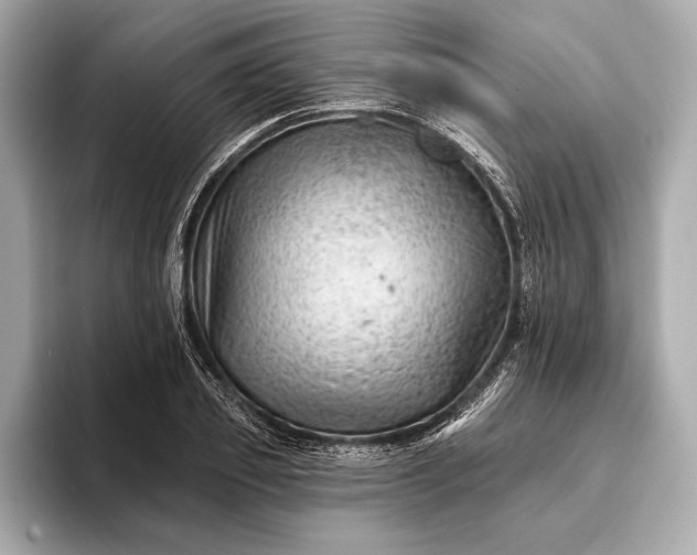 X0000093420933200710260955