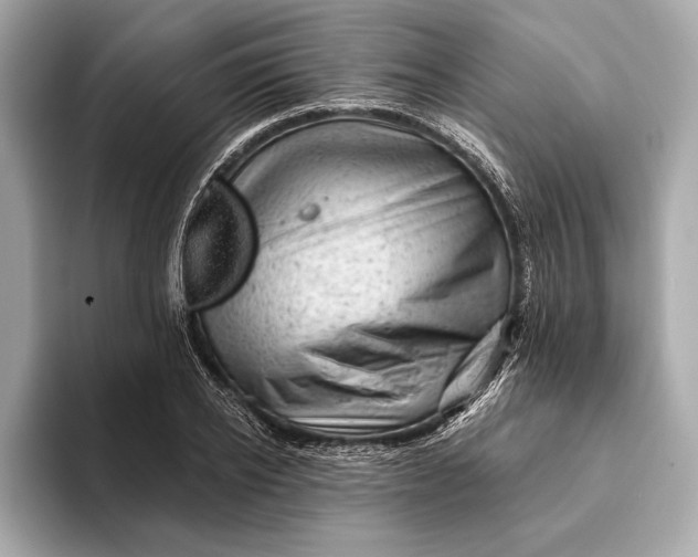 X0000093420934200710260955