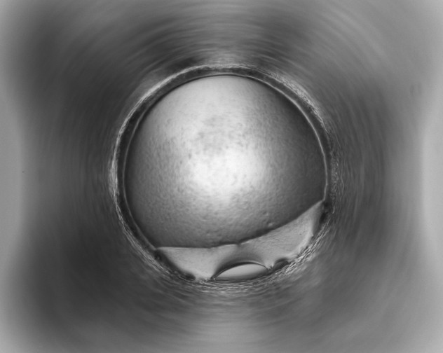 X0000093420935200710260955