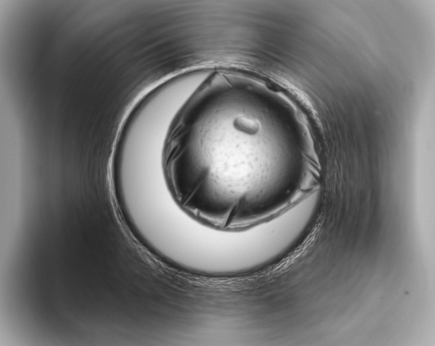 X0000093420936200710260955