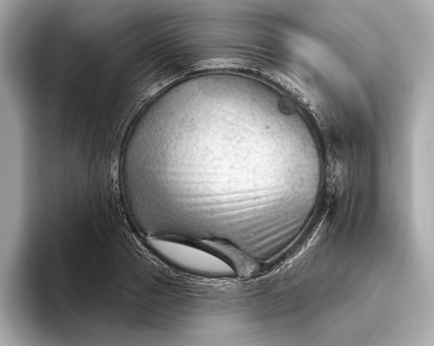 X0000093420937200710260955