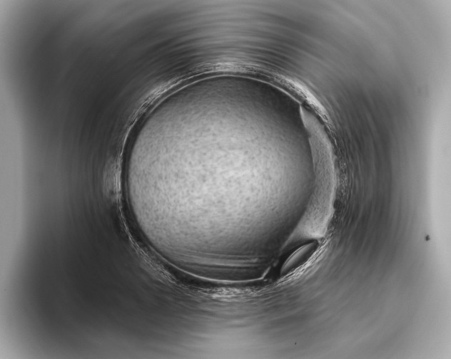 X0000093420938200710260955