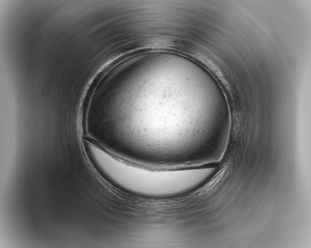 X0000093420939200710260955