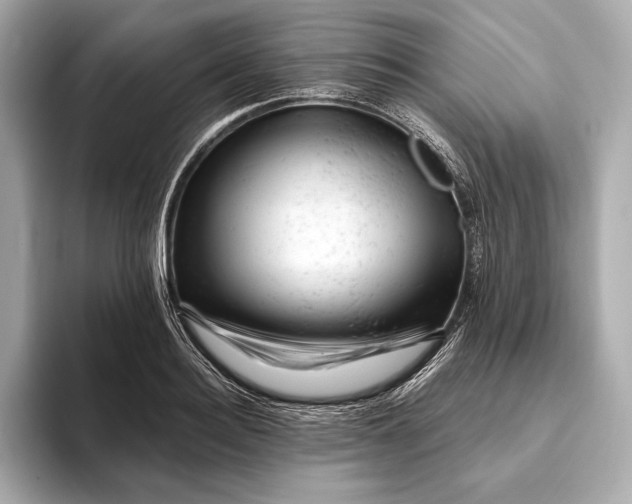 X0000093420940200710260955