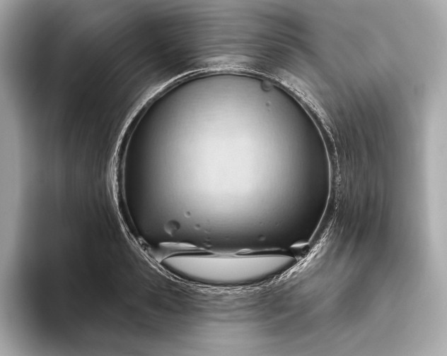 X0000093420941200710260955