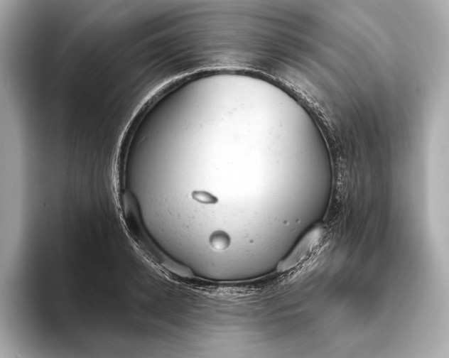 X0000093420942200710260955