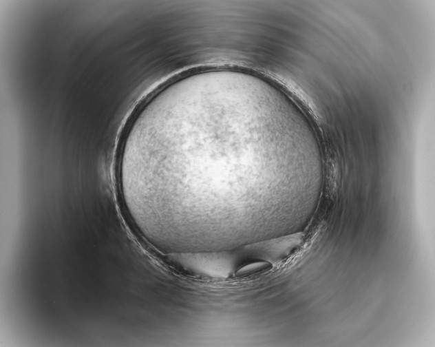 X0000093420943200710260955