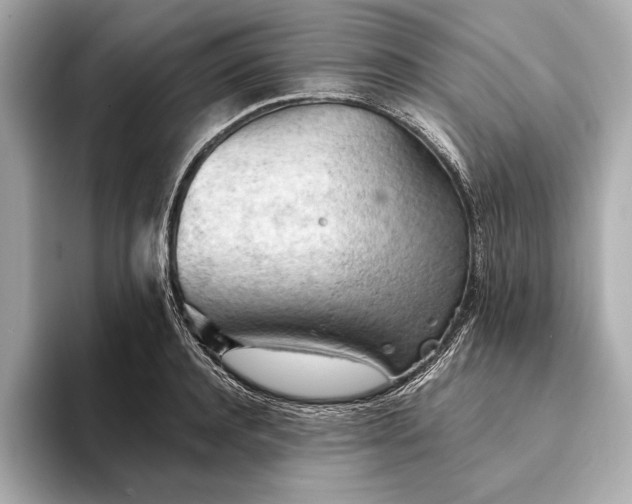 X0000093420944200710260955