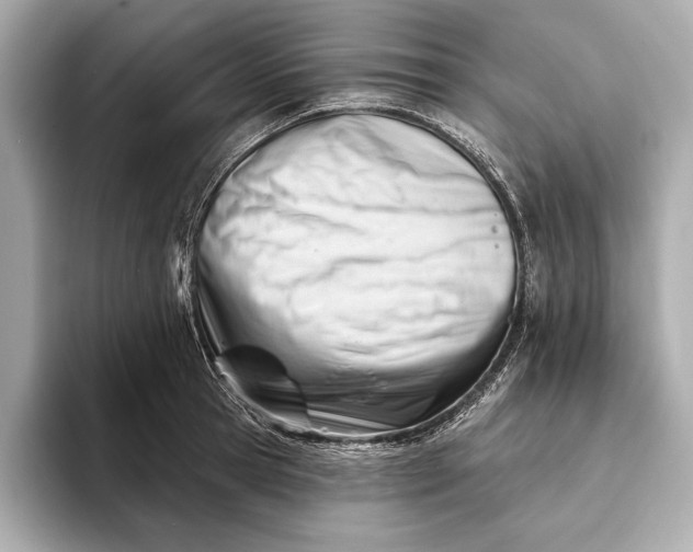 X0000093420945200710260955