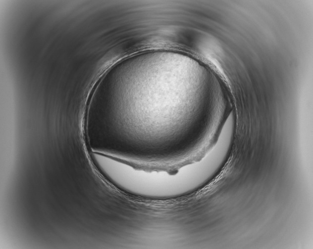 X0000093420946200710260956