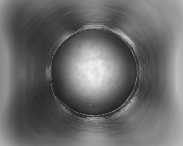 X0000093420953200710260956