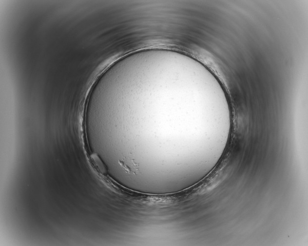 X0000093420954200710260956