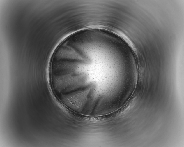 X0000093420955200710260956