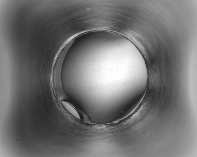 X0000093420956200710260956